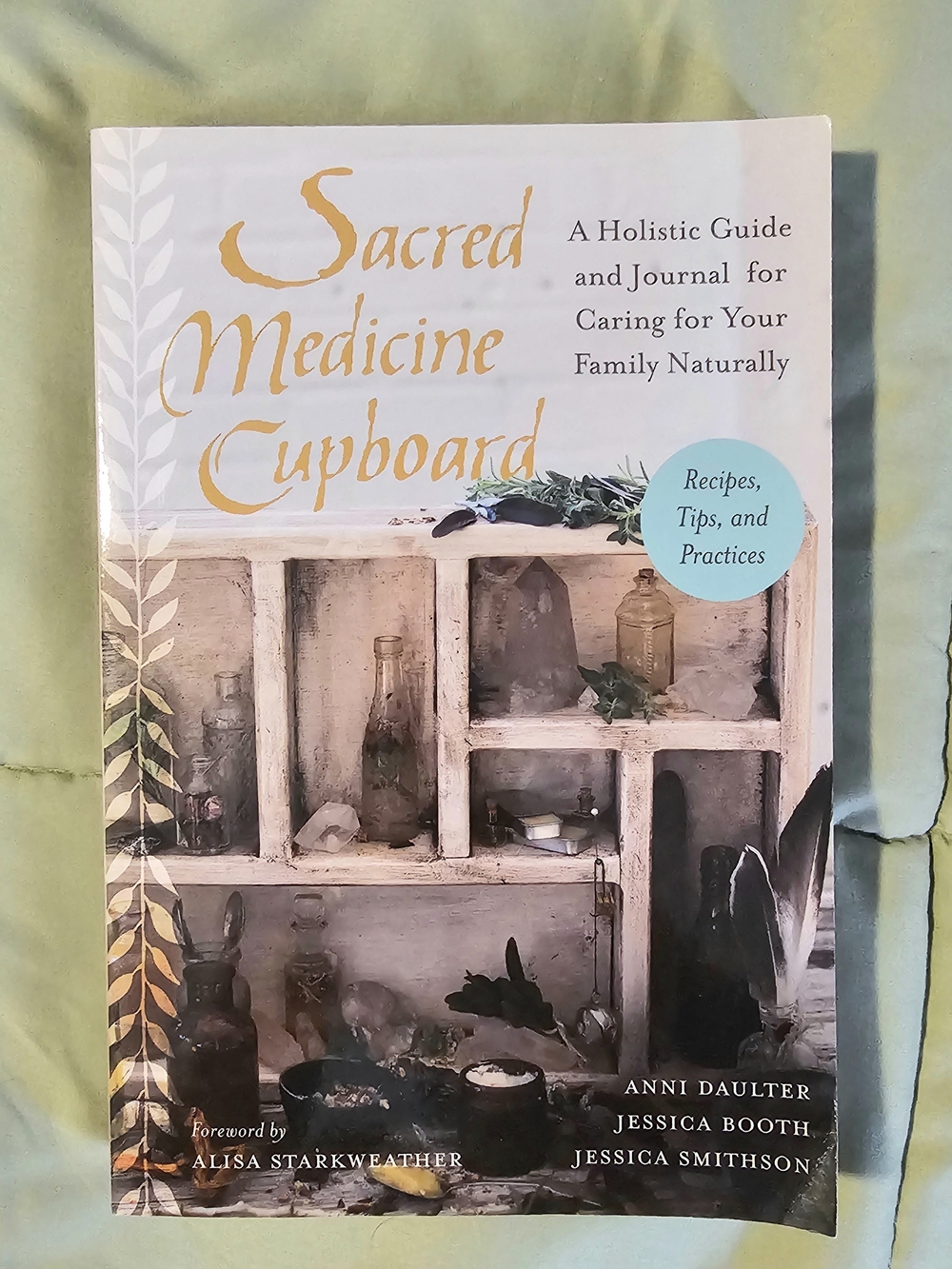 Sacred Medicine Cupboard Holistic Guide Journal Natural Wellness Herbal Living